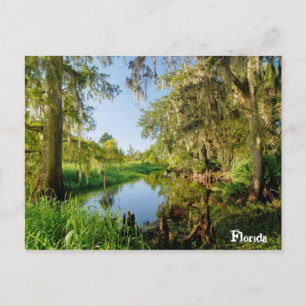 Carte Postale Floride