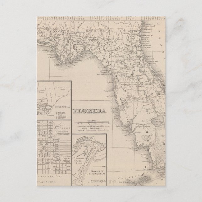 Carte Postale Floride (Devant)