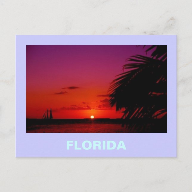 CARTE POSTALE FLORIDE (Devant)