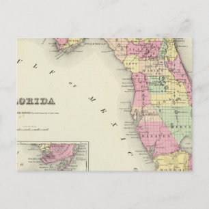 Carte Postale Floride 5