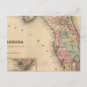 Carte Postale Floride 6