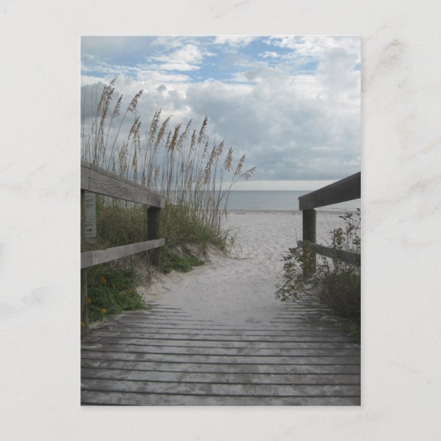 Carte Postale Floride Beach Path (Devant)