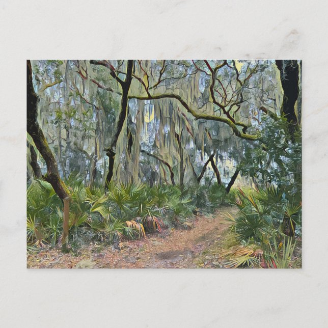 Carte Postale Floride dentelle espagnole mousse impressionniste  (Devant)