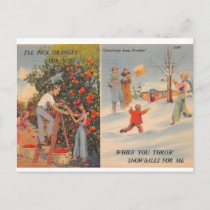 Carte Postale Floride en hiver