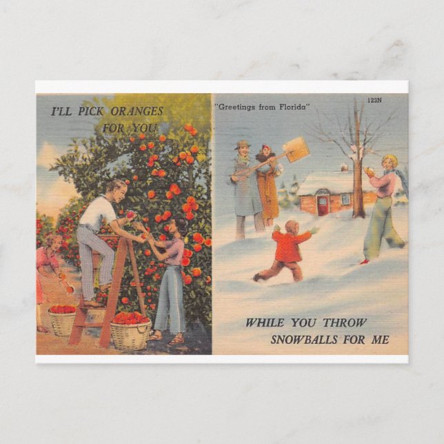 Carte Postale Floride en hiver (Devant)