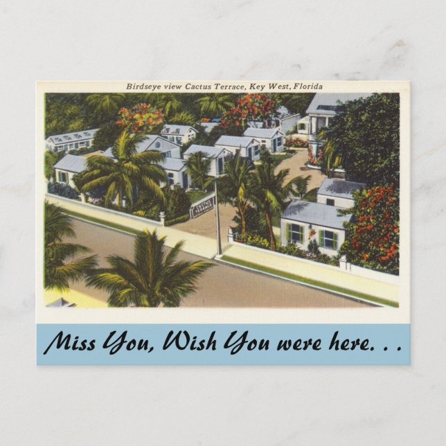Carte Postale Floride, Key West, Cactus Terrasse (Devant)