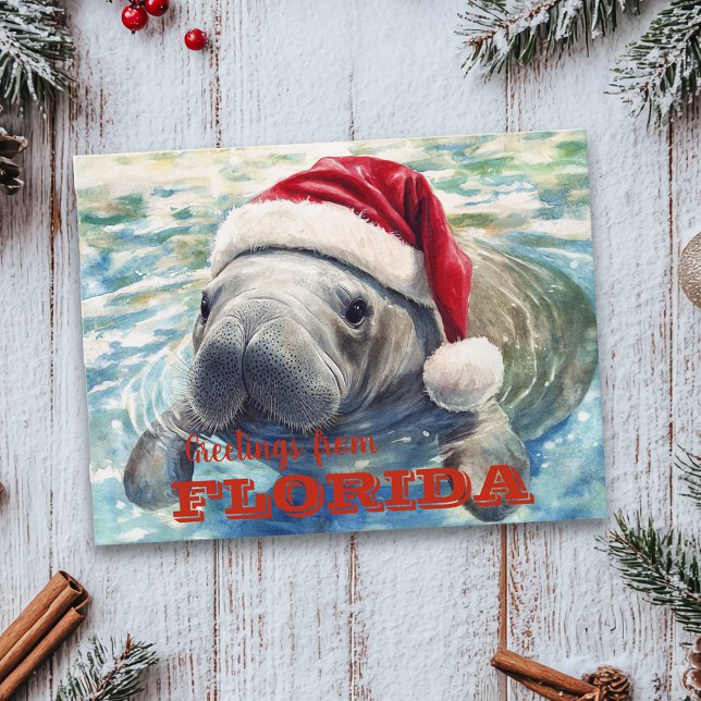 Carte Postale Floride Manatee Aquarelle Noël (Créateur téléchargé)
