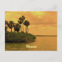 Floride Palm Tree Reverie