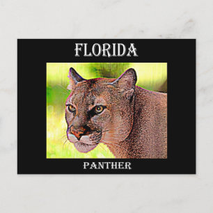 Carte Postale Floride Panther
