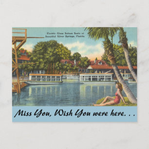 Carte Postale Floride, Silver Springs