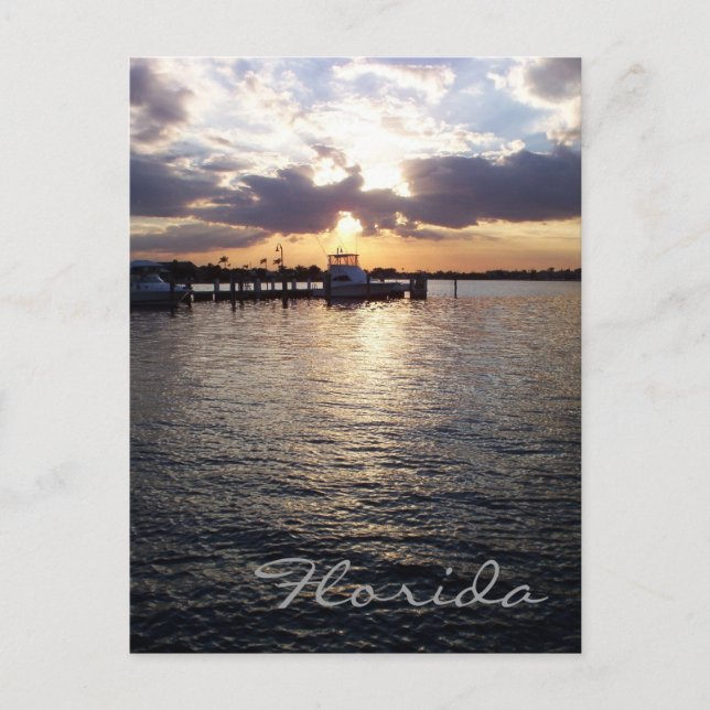 Carte postale Floride Sunset (Devant)