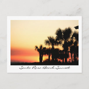 Carte Postale Floride Sunset Père Noël Rosa Beach Palmiers