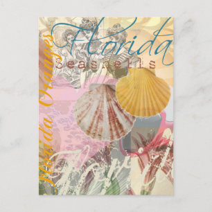 Carte Postale Floride Vintage Travel Beach Seashell Shell Art