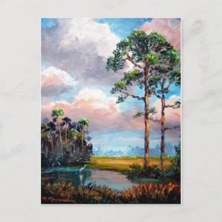 Carte Postale Floride Wilderness