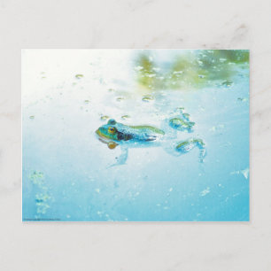 Carte Postale Flottant