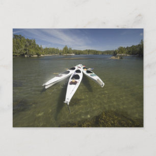 Carte Postale Flotte de kayaks au repos en fin d'après-midi à