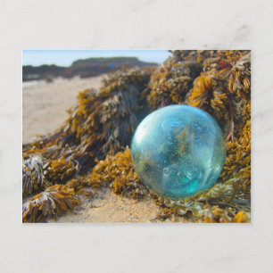 Carte Postale Flotte de verre sur Kelp