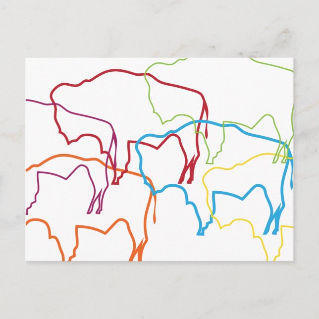 Carte Postale flou de fierté du bison wyoming (Devant)