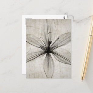 Carte Postale Flower