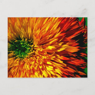 Carte postale Flower Fireworks