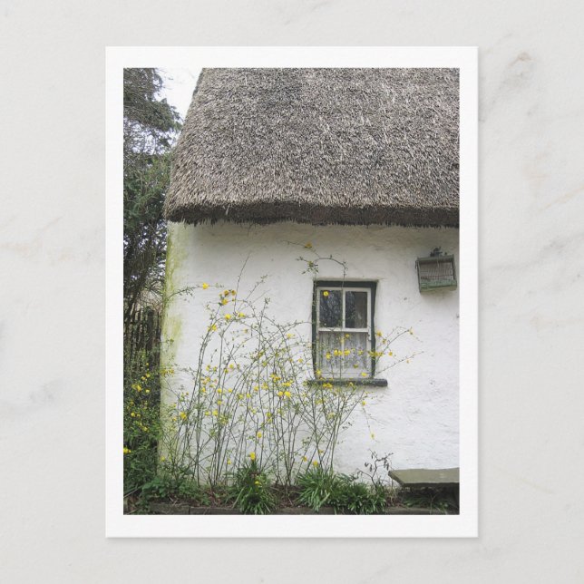 Carte Postale Flower house (Devant)