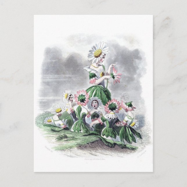 Carte Postale Flower Ladies Daisy Fleurs Animées Grandville (Devant)