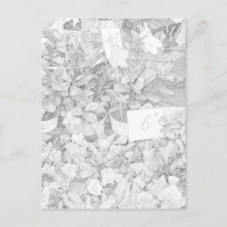 Carte Postale Flower Market Coloring