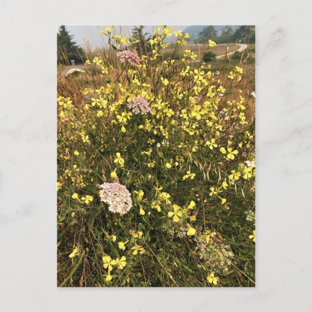 Carte Postale Flowers (Devant)
