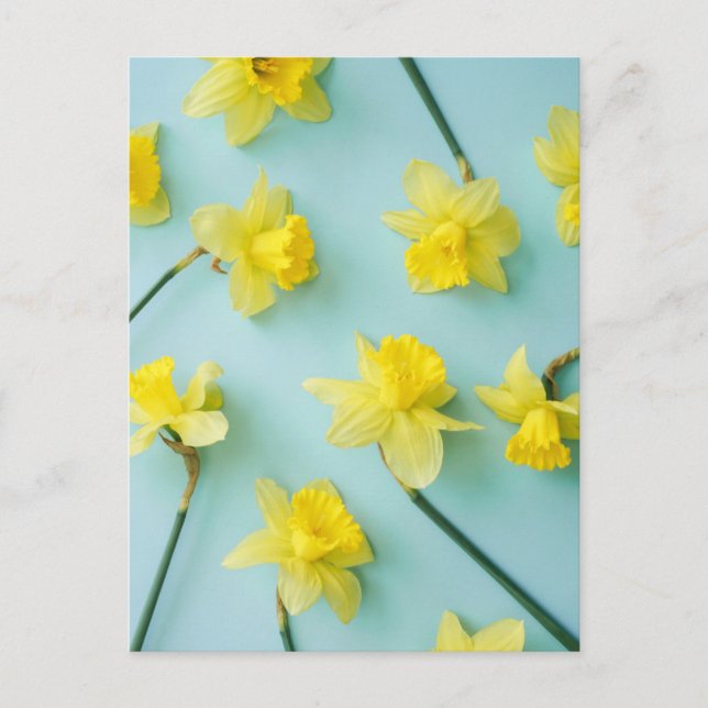 Carte Postale Flowers (homonymie) | Daffodils (Devant)