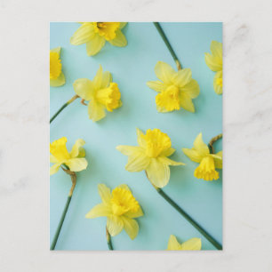 Carte Postale Flowers (homonymie) Daffodils
