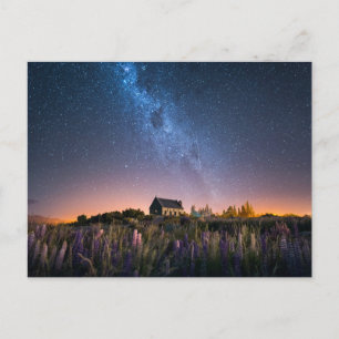 Carte Postale Flowers (homonymie)   Lupines Blooming Lake Tekapo