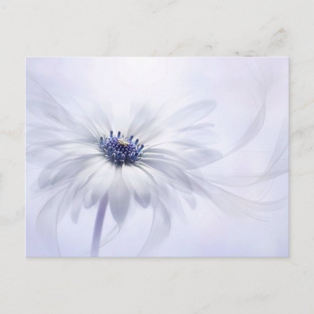 Carte Postale Flowers | Pale Purple Flower (Devant)
