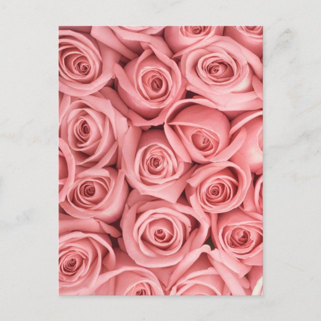 Carte Postale Flowers | Pink Roses (Devant)