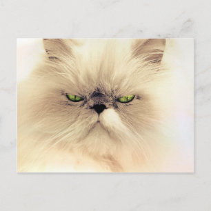 Carte Postale Fluffy Gruffy Kitty