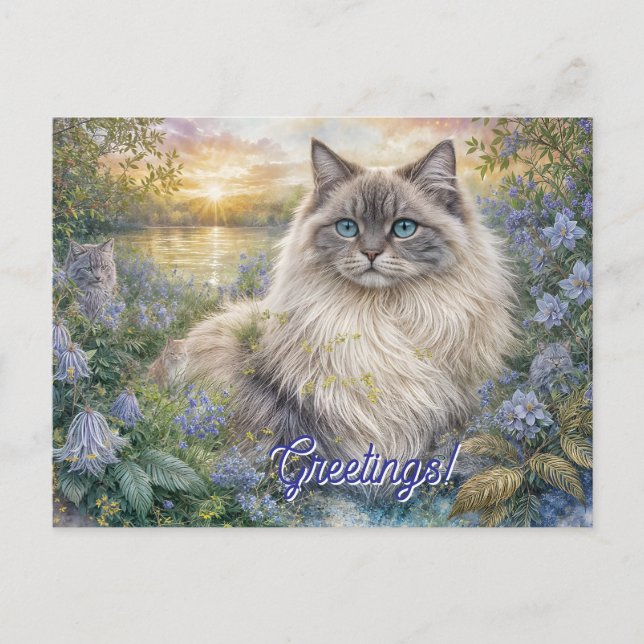 Carte Postale Fluffy Himalayan Cat In Purple Garden at Sunrise (Devant)