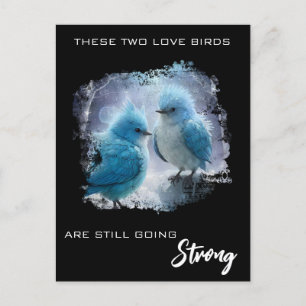 Carte Postale *~* Fluffy PHOTO  Oiseaux de l'amour AP54 Annivers