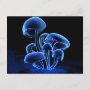 Carte Postale Fluorescence Postcard