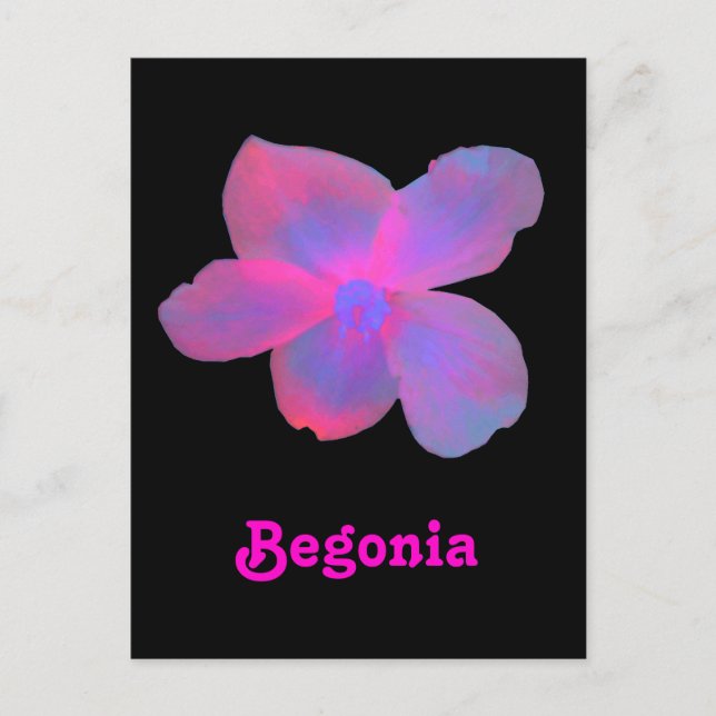 Carte Postale Fluorescent Begonia personnalisable (Devant)