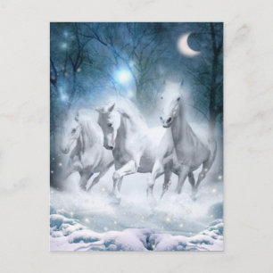 Carte Postale Flurry sauvage