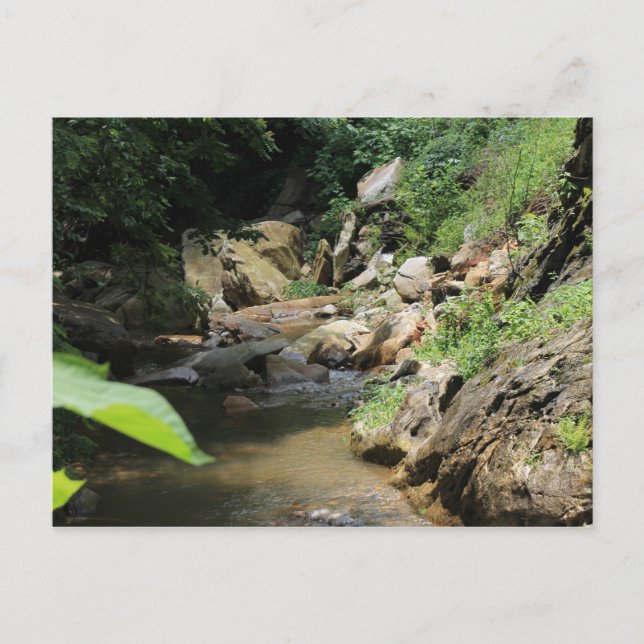 Carte Postale flux (Devant)