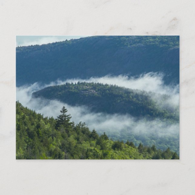 Carte Postale Flux de brouillard par Connors Nubble, Acadia NP,  (Devant)