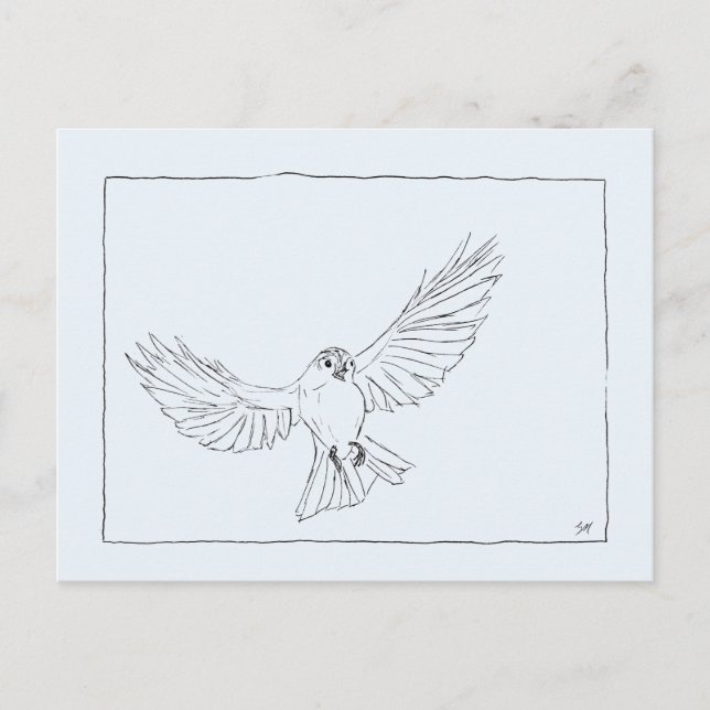 Carte Postale Flying Bird (Devant)