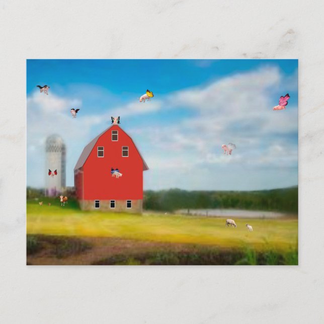 Carte postale Flying Pig Farm (Devant)