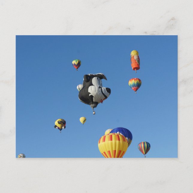 Carte Postale Flying Skunk (Devant)