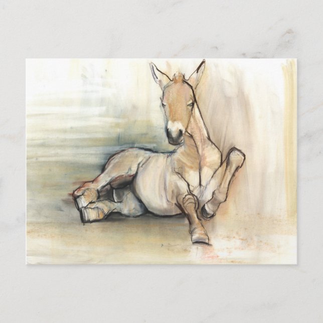 Carte Postale Foal 2012 (Devant)