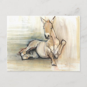 Carte Postale Foal 2012