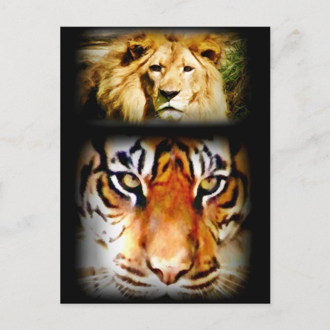 Carte Postale Focus & Courage_ (Devant)