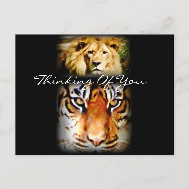 Carte Postale Focus & Courage_ (Devant)