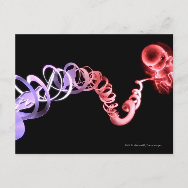 Carte Postale Foetus avec un cordon ombilical fait de brins d'AD (Devant)