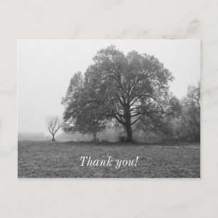 Carte Postale Foggy Automne Niveaux de gris